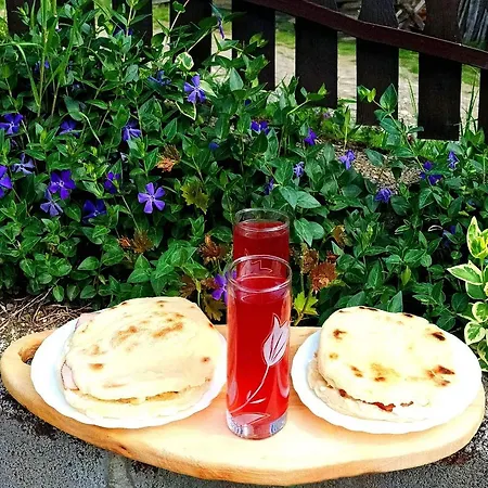 Etno Kuca Ostrvica 2 * Varnice