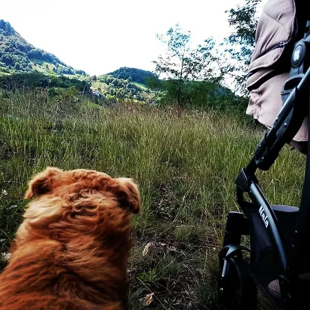 Etno Kuca Ostrvica 2 Daire *