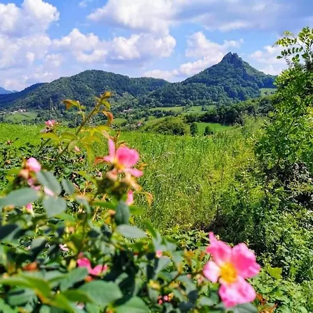 Etno Kuca Ostrvica 2 Daire