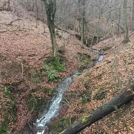 Daire Etno Kuca Ostrvica 2