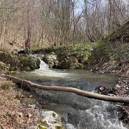 Etno Kuca Ostrvica 2 Daire