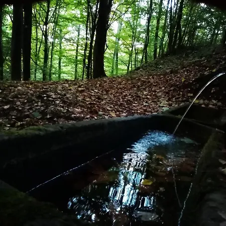 Etno Kuca Ostrvica 2 Varnice