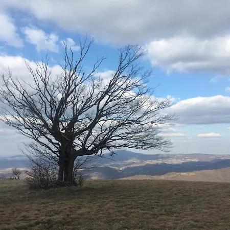 Daire Etno Kuca Ostrvica 2 Varnice