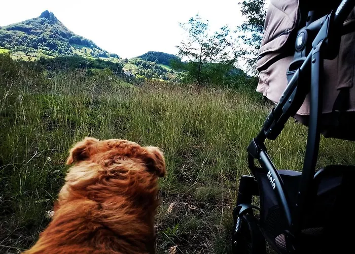 Etno Kuca Ostrvica 2 Appartamento *