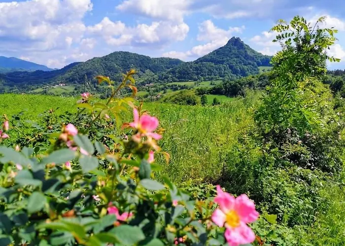 Etno Kuca Ostrvica 2 아파트