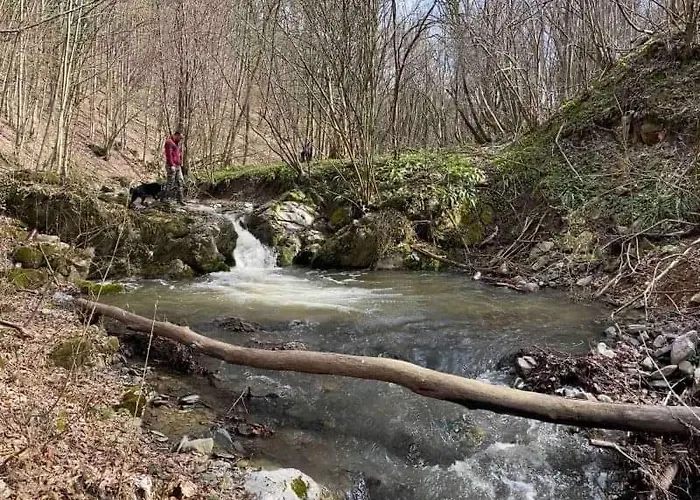 Etno Kuca Ostrvica 2 아파트