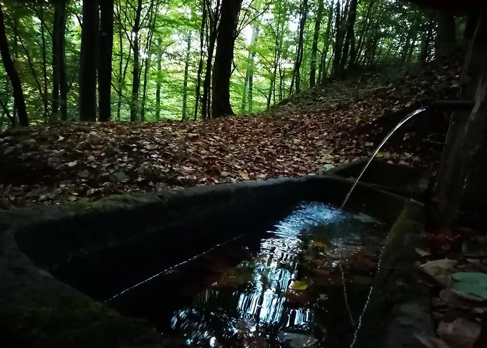 Etno Kuca Ostrvica 2 Varnice