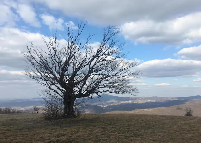 아파트 Etno Kuca Ostrvica 2 Varnice